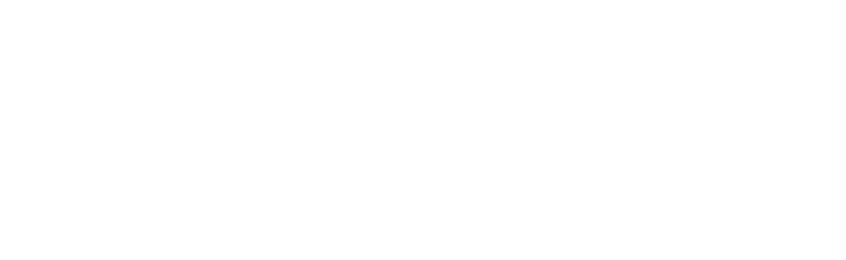 Annorak Intelligence Group